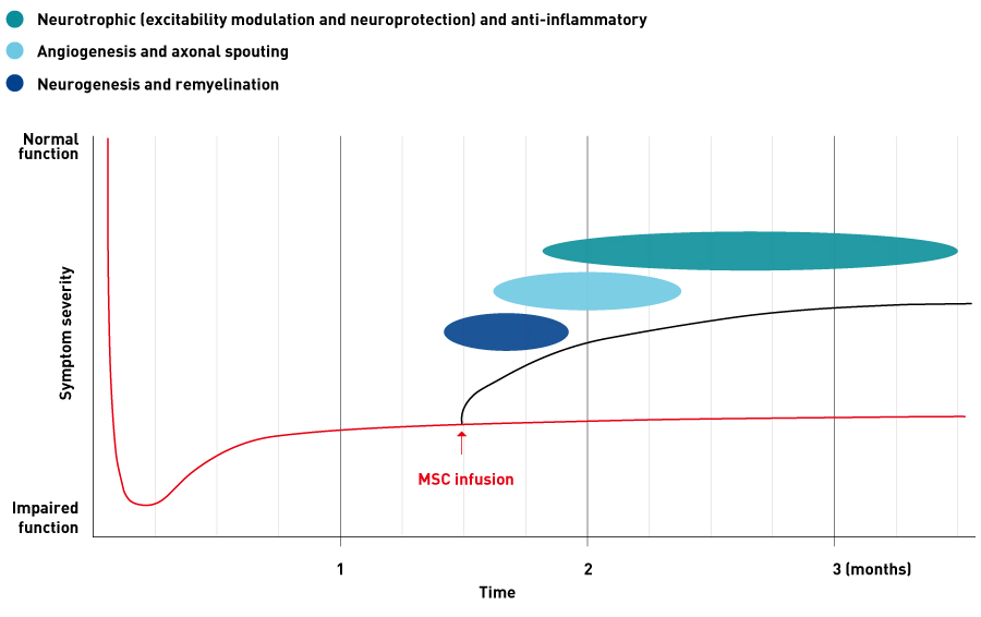 Figure 1. Schematic plot of symptom severity against time following administration of mesenchymal stem cells.