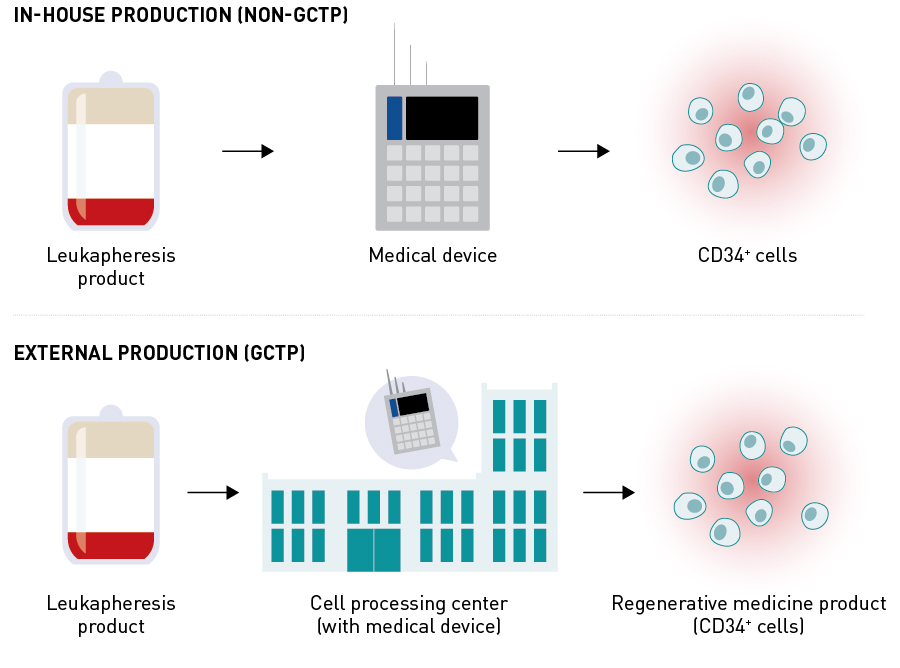 Figure 7. Development of medical device (magnetic cell sorter) and cell product (CD34+ cells) for CD34+ cell therapy during clinical trials. GCTP: Good Gene, Cellular, and Tissue-based Products Manufacturing Practice.