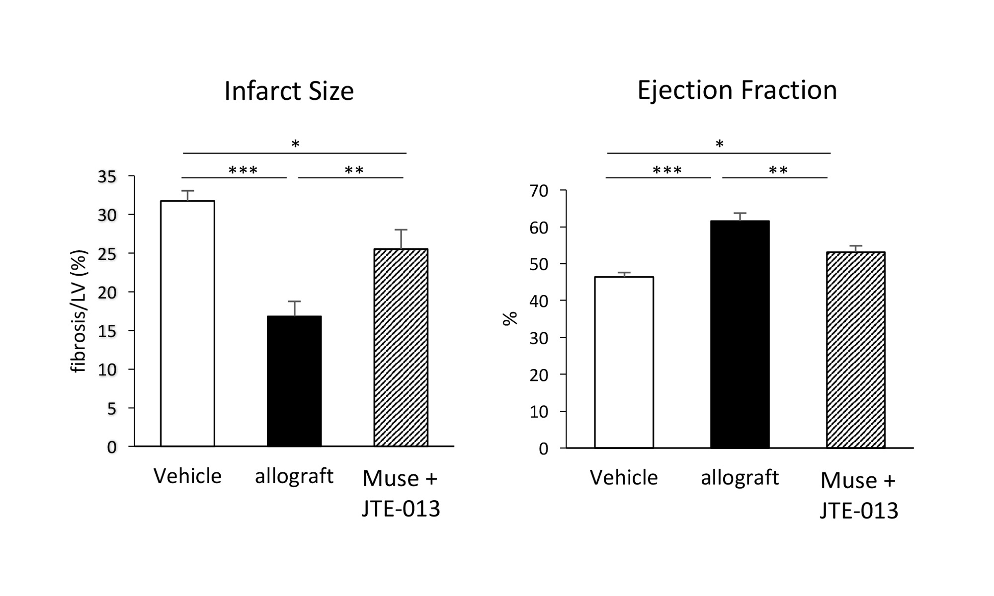 Figure 6. Effect of sphingosine-1-phosphate receptor 2 (S1PR2) antagonist JTE-013 on the reduction in infarct size and improvement in cardiac function following administration of allograft Muse cells. * p < 0.05; ** p < 0.01; *** p < 0.001. [Reproduced from Ref. 19]
